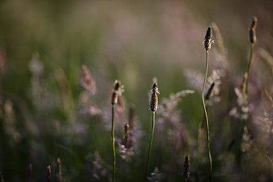 《诡野西部》明年1月11日发售 登陆PC＆XB1＆PS4